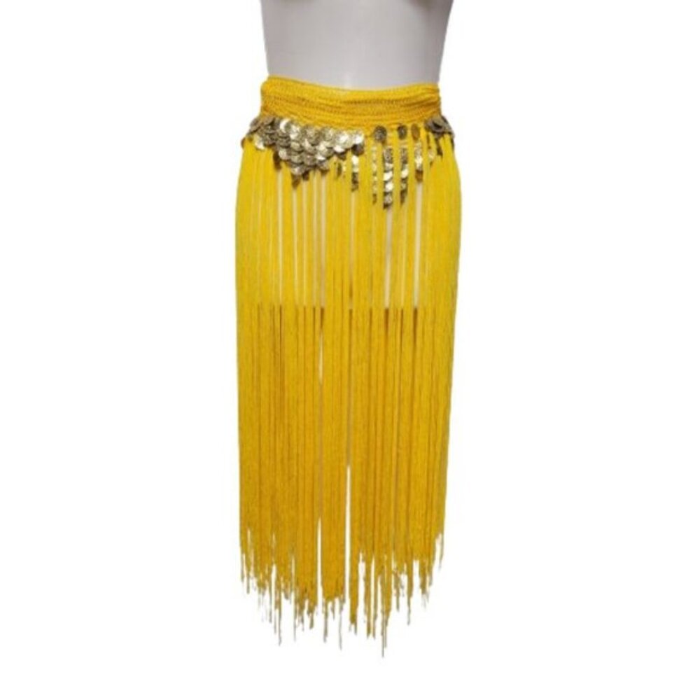 Hip Skirt Belly Dance Tassels Fringe Skirt Bellydance Coins and Fringe Hip Scarf - Picture 7 of 14